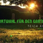 Teich anlegen wo Standort