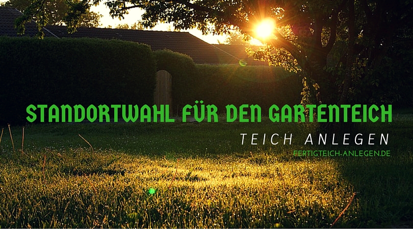 Teich anlegen wo Standort