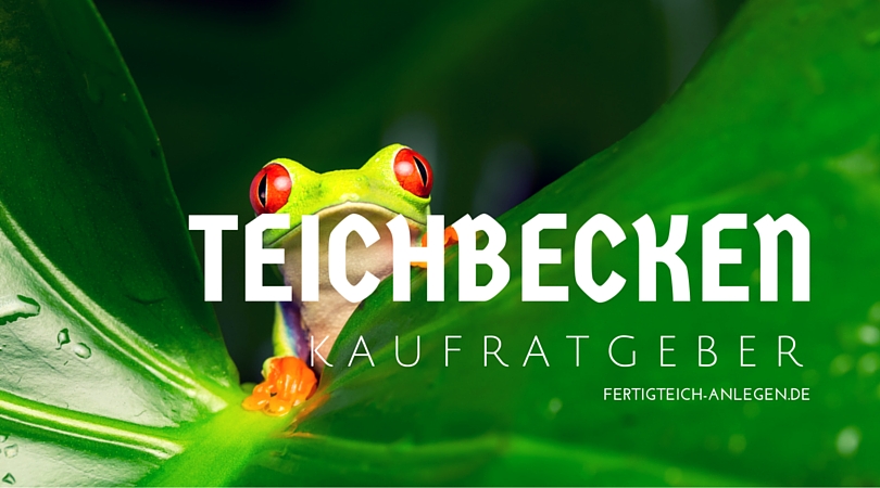 Teichbecken kaufen Kaufratgeber